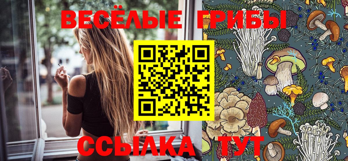 Псилоцибиновые грибы Cubensis Майский